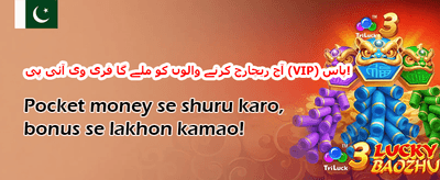 100% ویلکم میچ بونس promotion